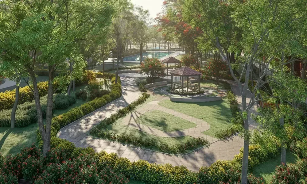 Garden