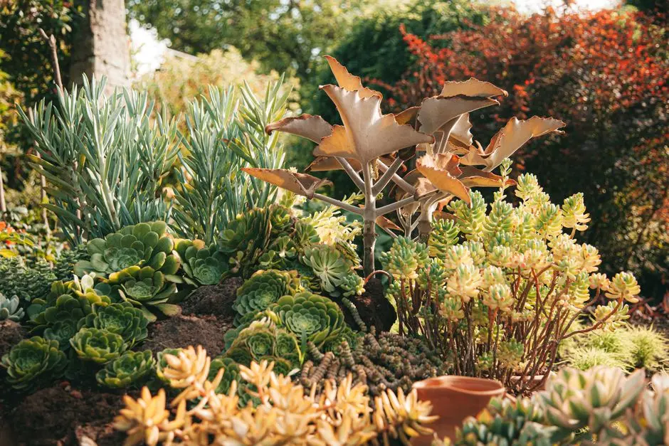 Greens & Outdoors at SOBHA BELLEVUE VELACHERY, Chennai