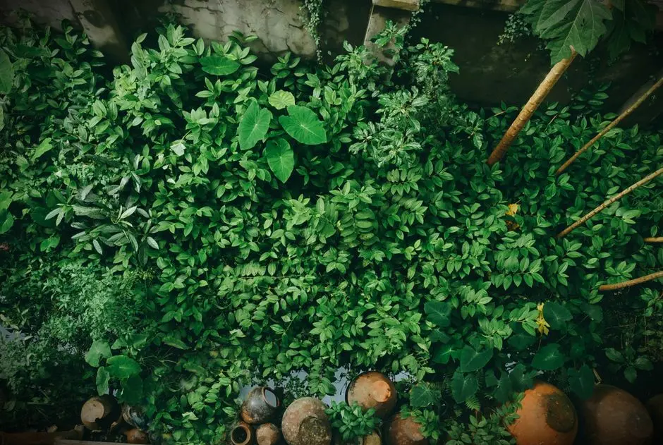 Greens & Outdoors at SOBHA DREAM ACRES, Panathur, Bangalore