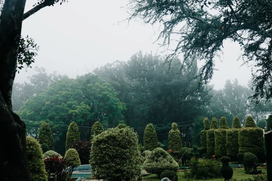 Greens & Outdoors at SOBHA KOTHANUR, Bangalore