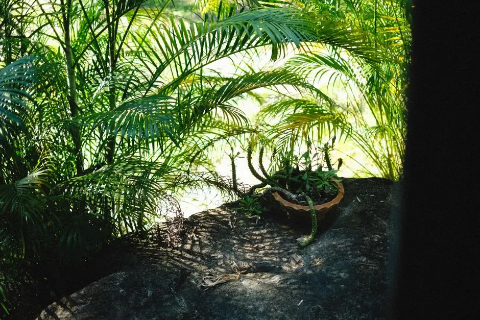 Greens & Outdoors at SOBHA RAJENDRA NAGAR, Hyderabad