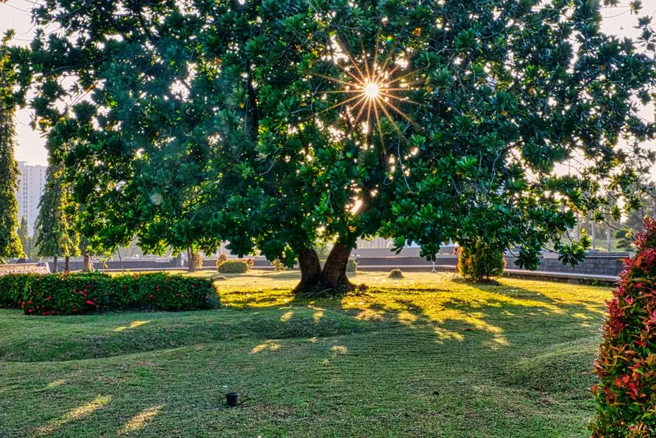 Greens & Outdoors at SOBHA SECTOR 108, Gurgaon