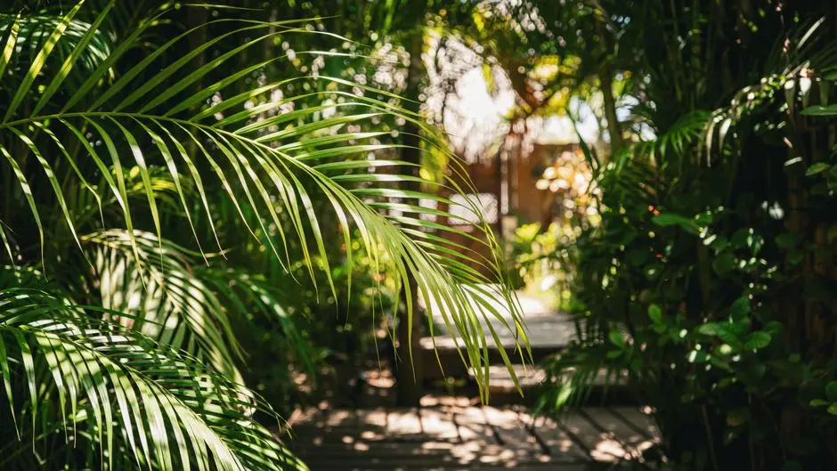 Greens & Outdoors at SOBHA PUDUPAKKAM, Chennai