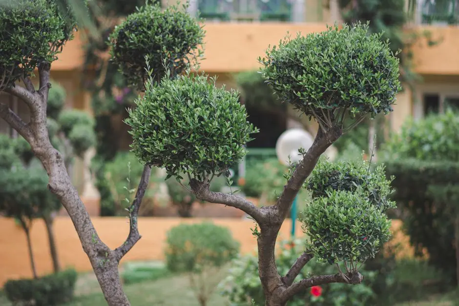 Greens & Outdoors at SOBHA HABITECH, Whitefield, Bangalore