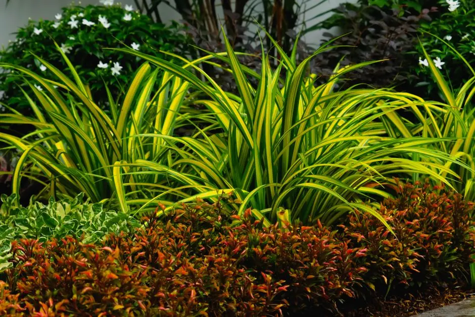 Greens & Outdoors at SOBHA ROYAL 80 DEVANAHALLI, Bangalore