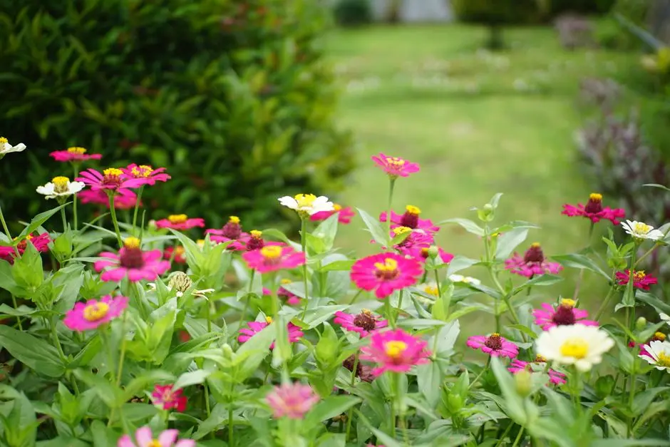 Greens & Outdoors at SOBHA TROPICAL GREENS, Varthur, Bangalore