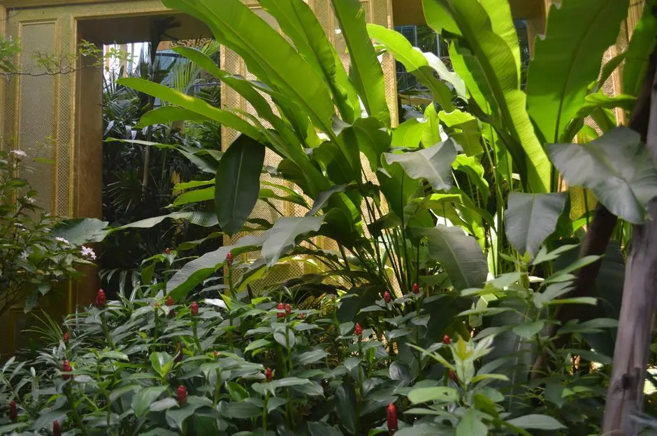 Greens & Outdoors at SOBHA GARDENIA VENGAIVASAL, Chennai