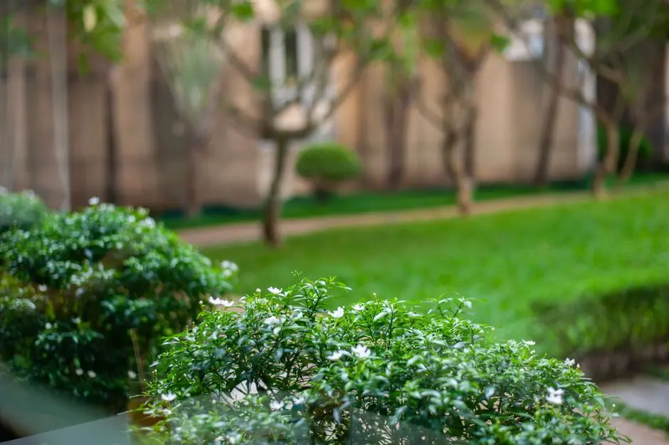 Greens & Outdoors at SOBHA ROSE WHITEFIELD, Bangalore