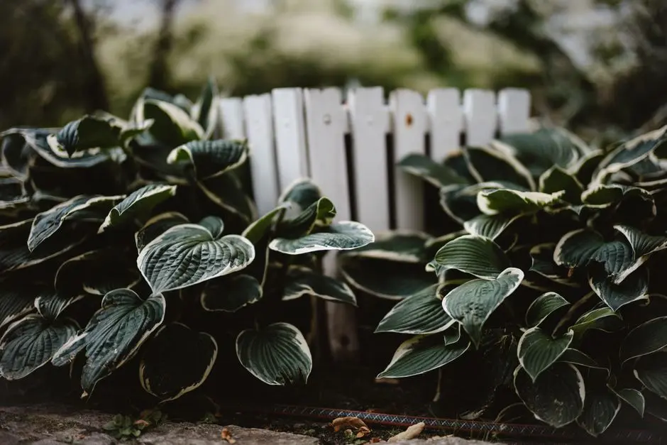 Greens & Outdoors at SOBHA LANDMARK, Koramangala, Bangalore