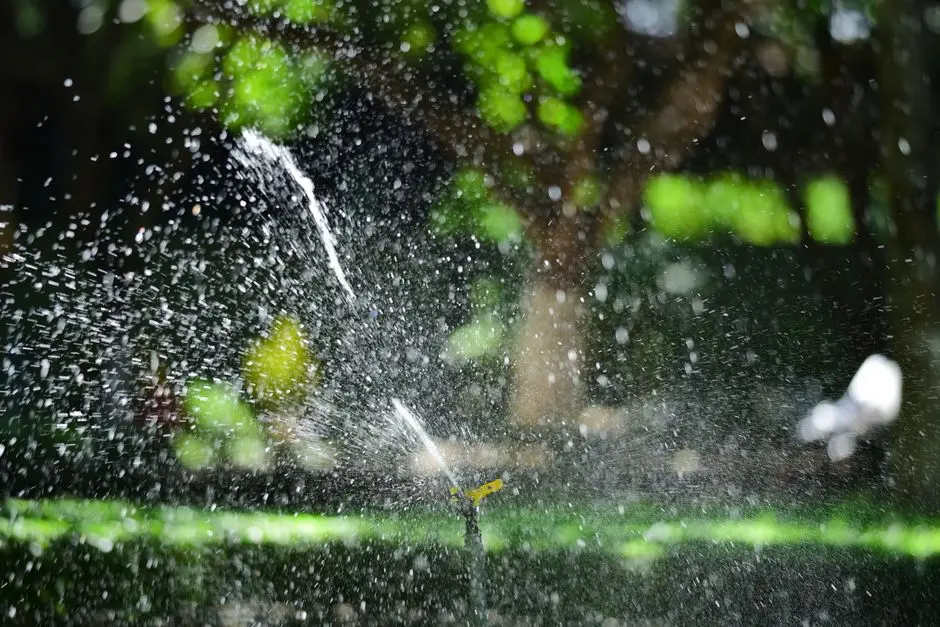 Greens & Outdoors at SOBHA SECTOR 94 NOIDA, Noida