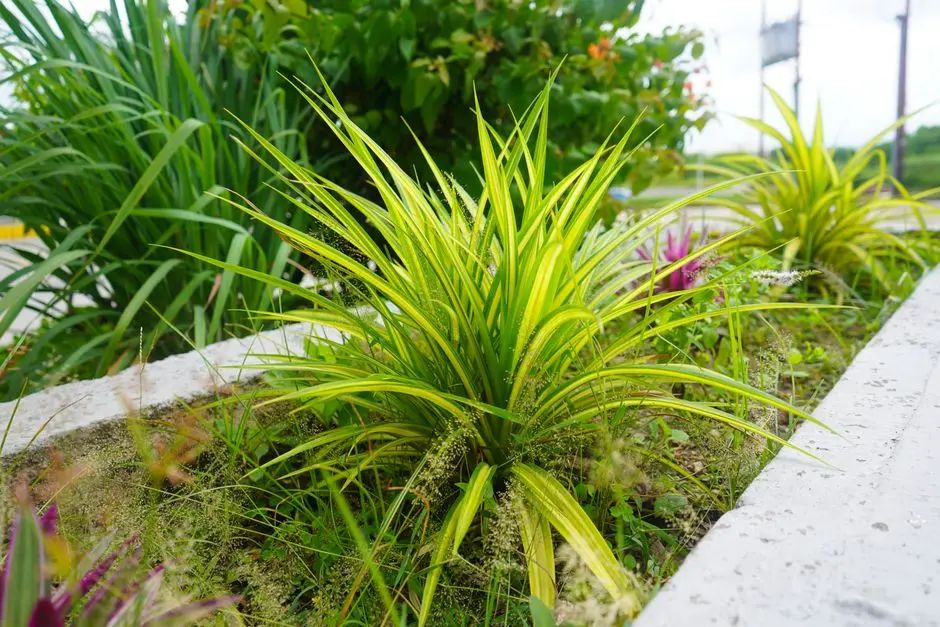 Greens & Outdoors at SOBHA BLISS CITY, Kunnumpuram, Kakkanad, Kochi