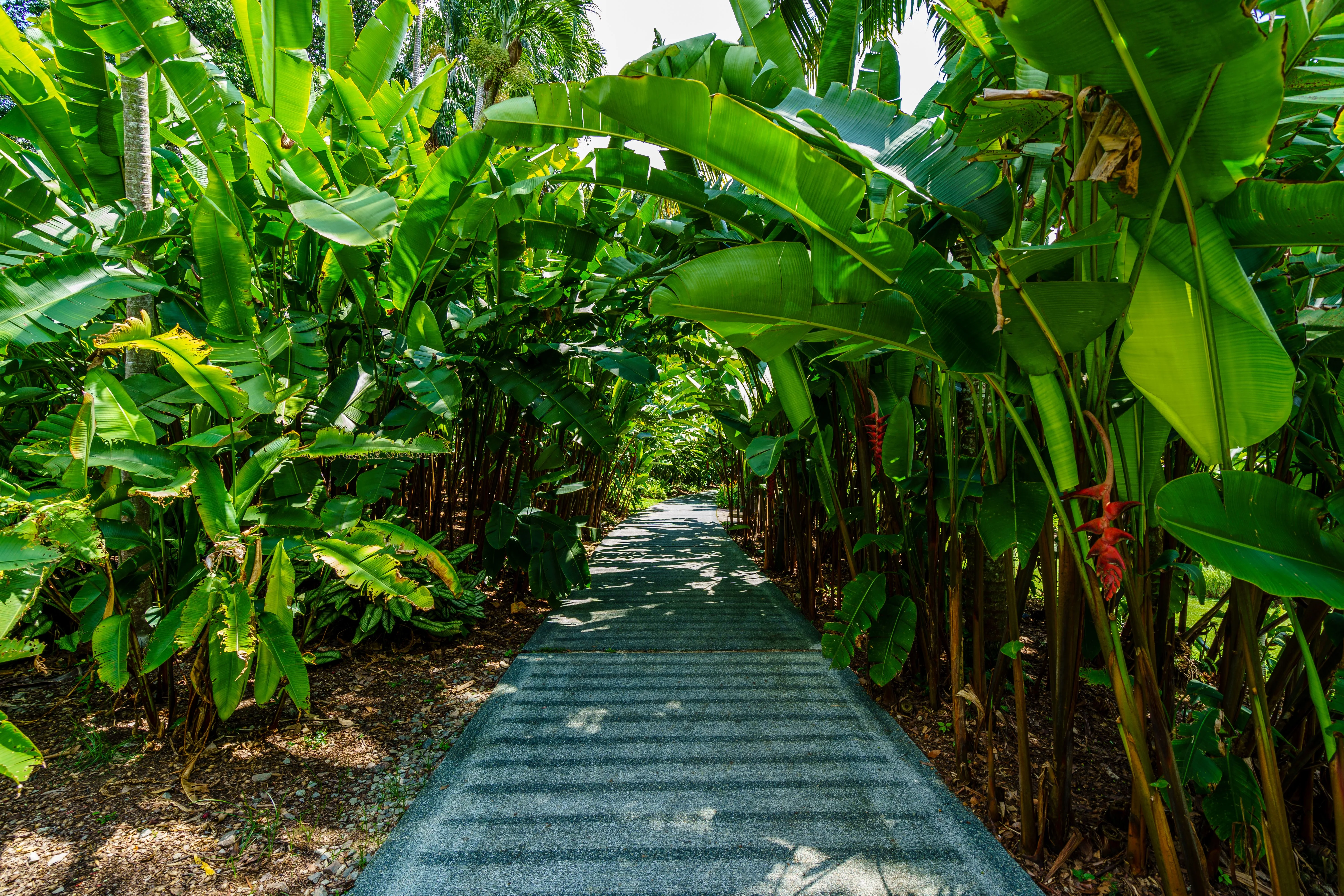 Greens & Outdoors at SOBHA CITY, Al Bahia, Abu Dhabi