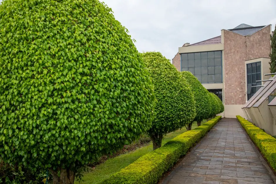 Greens & Outdoors at SOBHA CODENAME RIVER EDGE, Feroke, Kozhikode