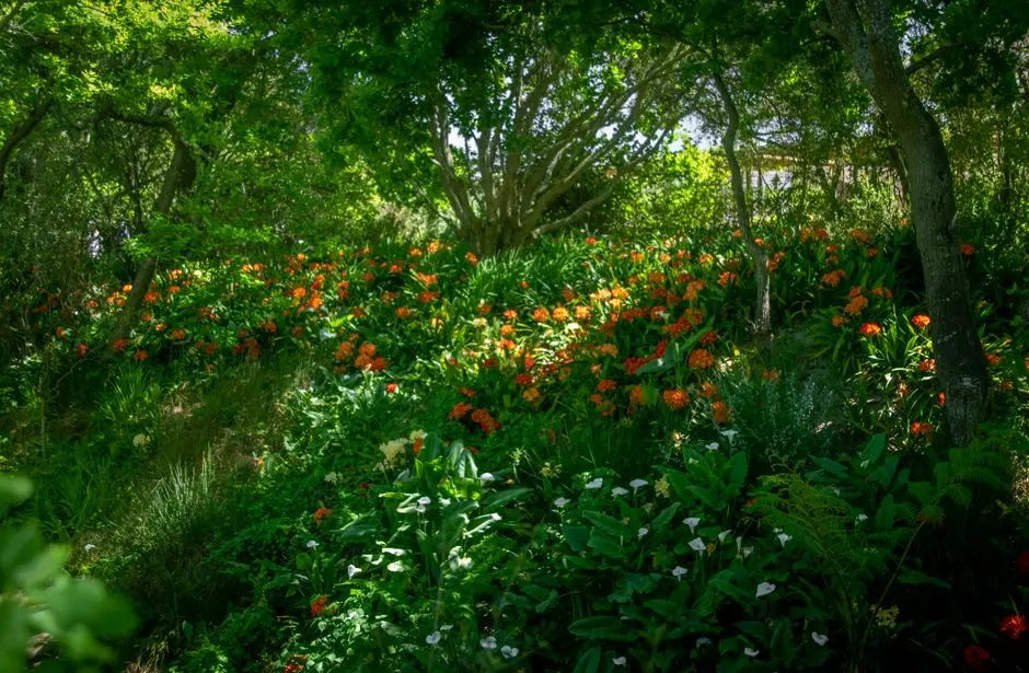 Greens & Outdoors at SOBHA YELAHANKA, Bangalore