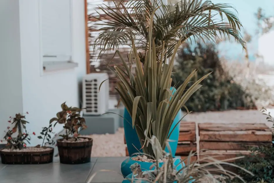 Greens & Outdoors at SOBHA CRYSTAL PALACE, Sarjapur Road, Bangalore