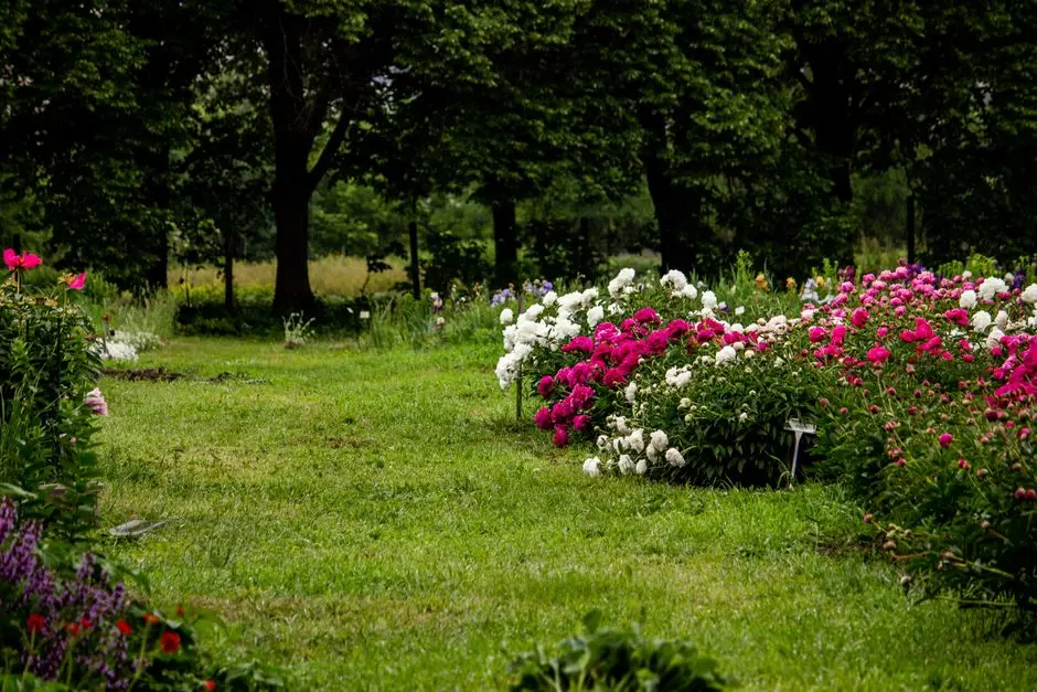 Greens & Outdoors at SOBHA MADISON HEIGHTS, Electronic City, Bangalore
