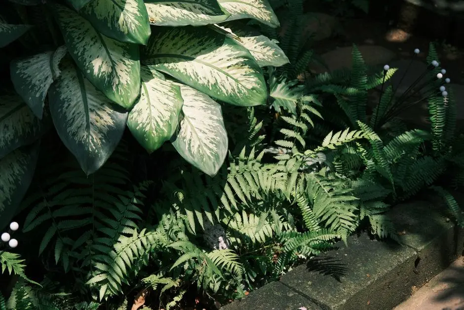 Greens & Outdoors at SOBHA PISOLI NIBM, Pune